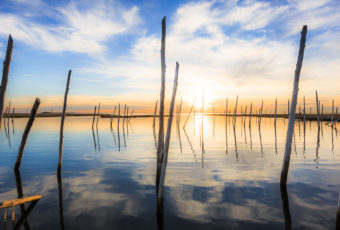Golden hour photograph lights up a derelict marina.