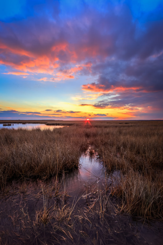 Vertical orientation HDR sunset photo over winter marsh.