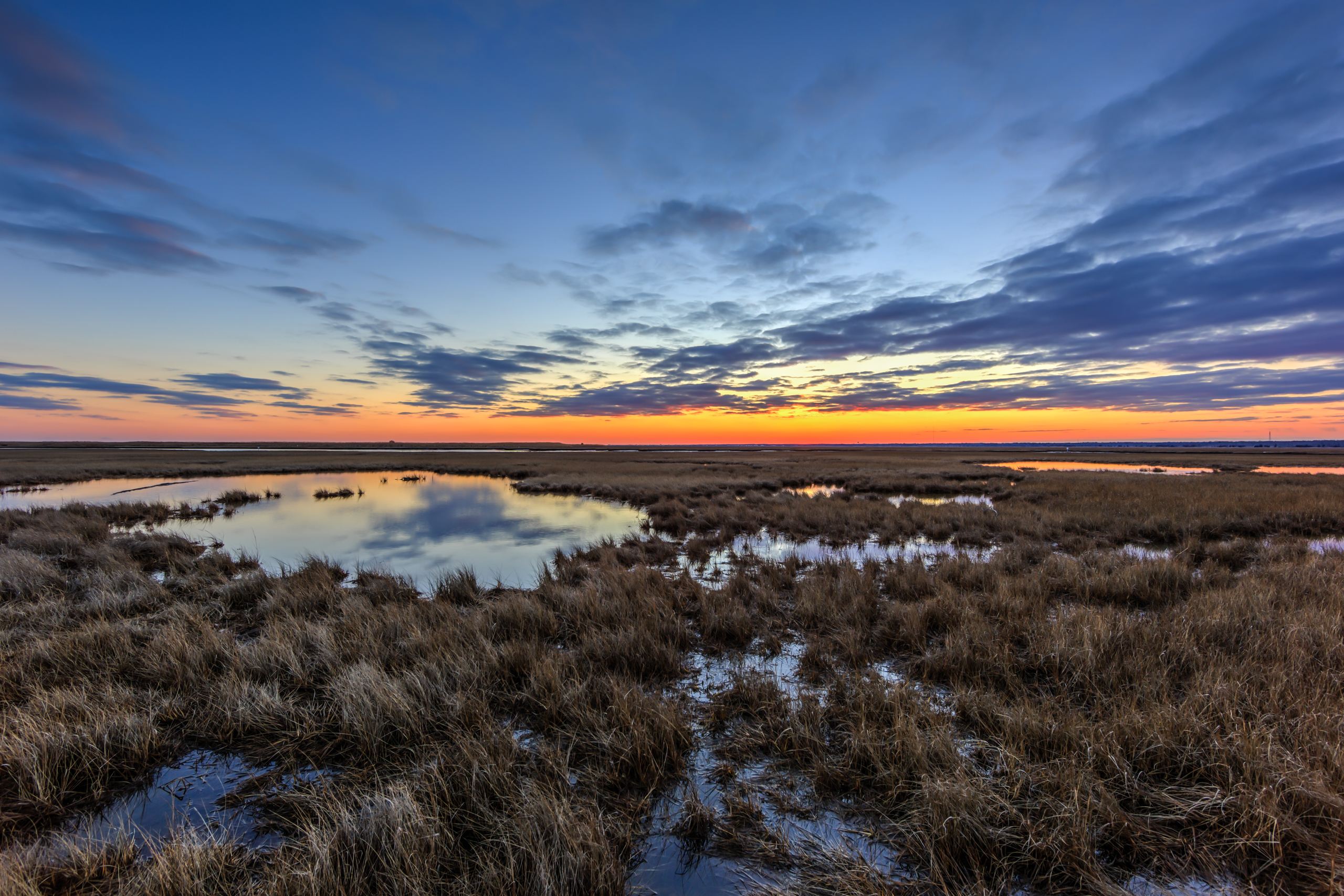Blue hour landscape photograph over dormant marsh grass.