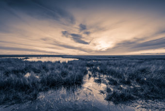 Sepia landscape photo of Cedar Run Dock Road salt marsh.