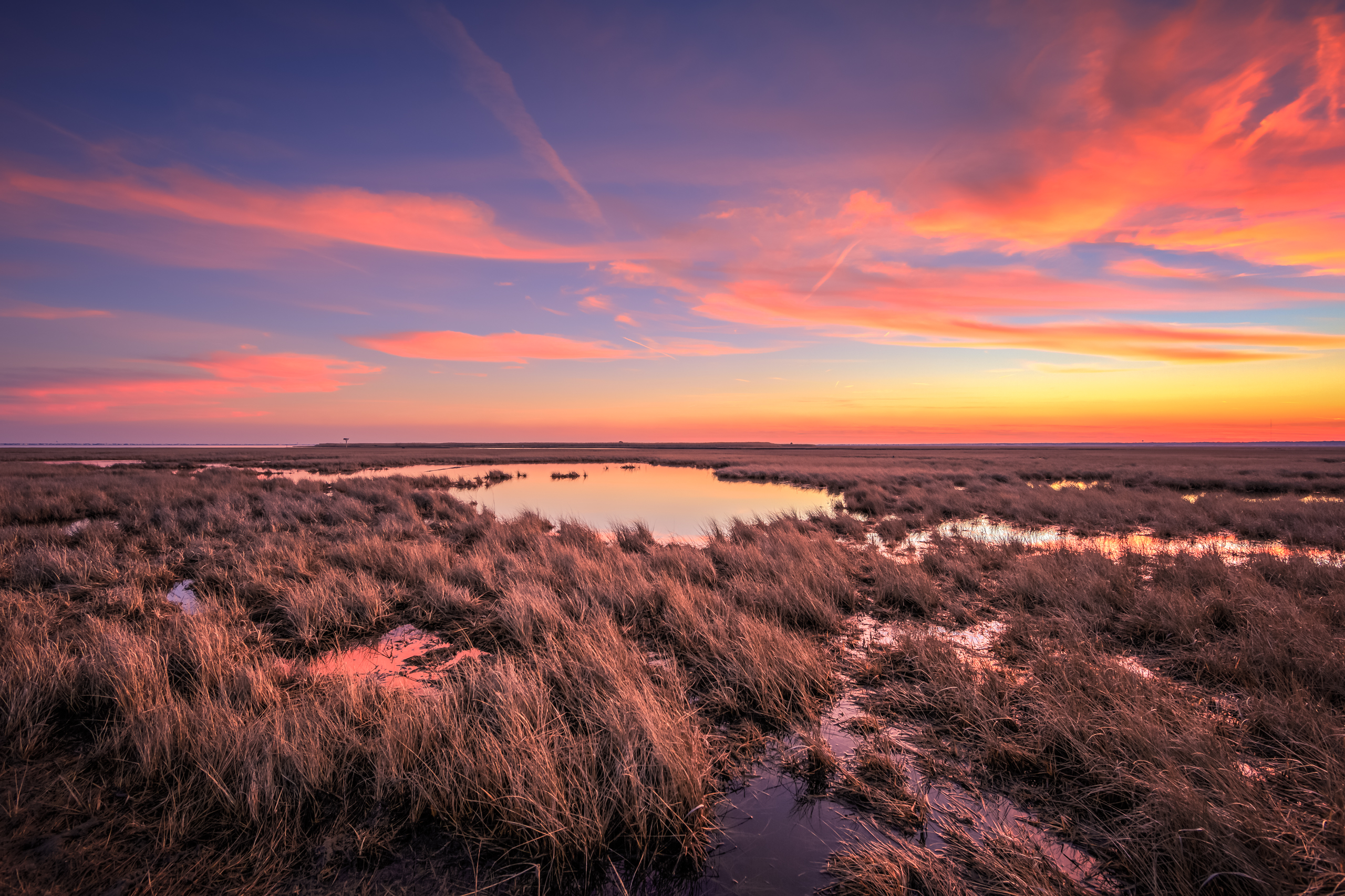Sunset photo of pastel colored clouds over dormant marsh.