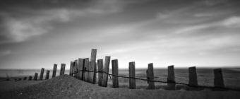 Strong contrast black and white photo of sand dune enveloping sand fence.