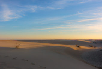 Golden hour photo of wind swept sand dunes on Long Beach Island.