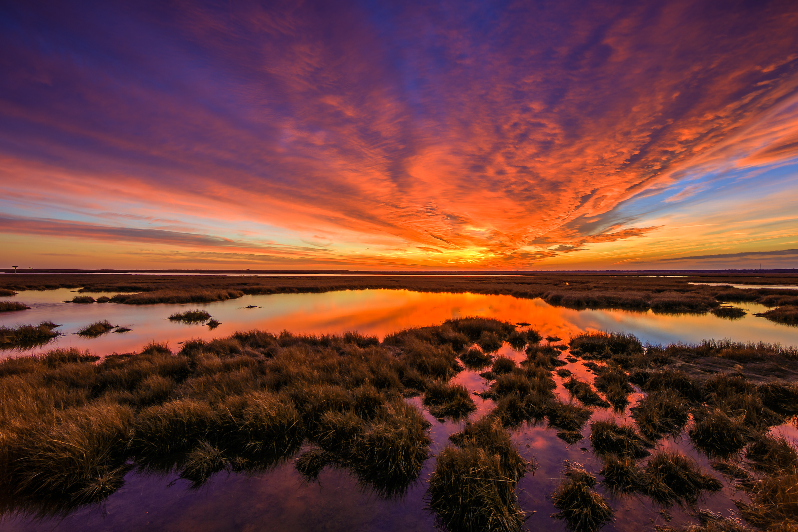 Fiery winter sunset photo over marsh