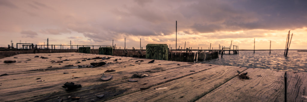 Golden hour photo of cracked mussel shells, docks, and storm clouds.