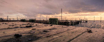 Golden hour photo of cracked mussel shells, docks, and storm clouds.