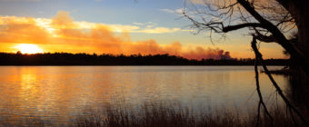 NJ Pinelands photo of a controlled burn smoke plume training across the horizon at sunset.