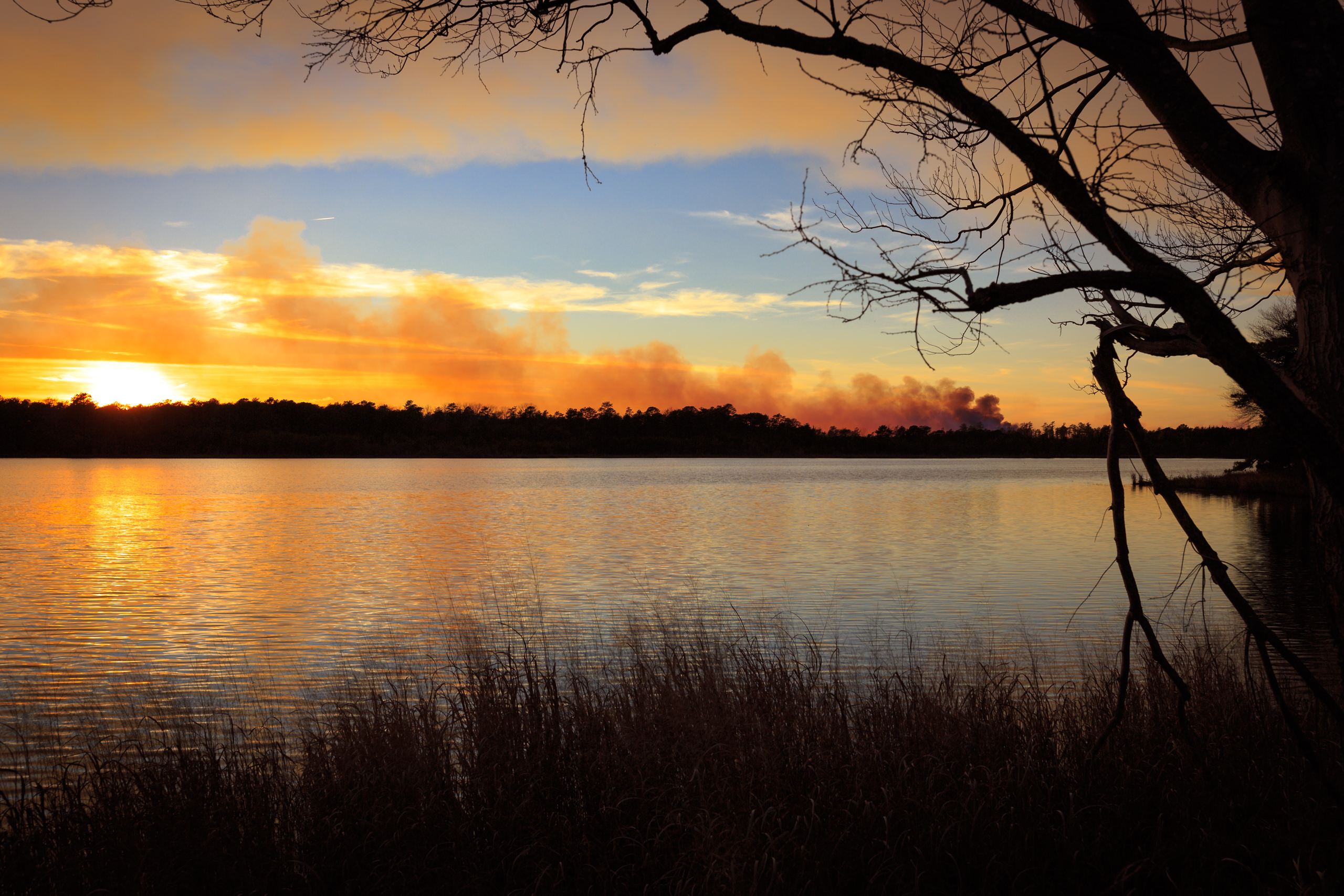 NJ Pinelands photo of a controlled burn smoke plume training across the horizon at sunset.