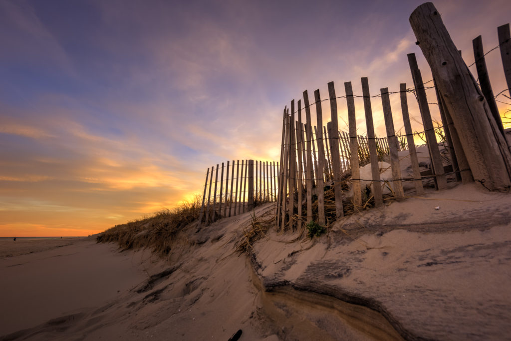 Golden sunset photo of sand dune lined with sand fence.