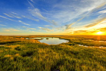 Golden hour salt marsh landscape photo.