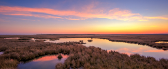 Salt marsh sunset photo in late fall.