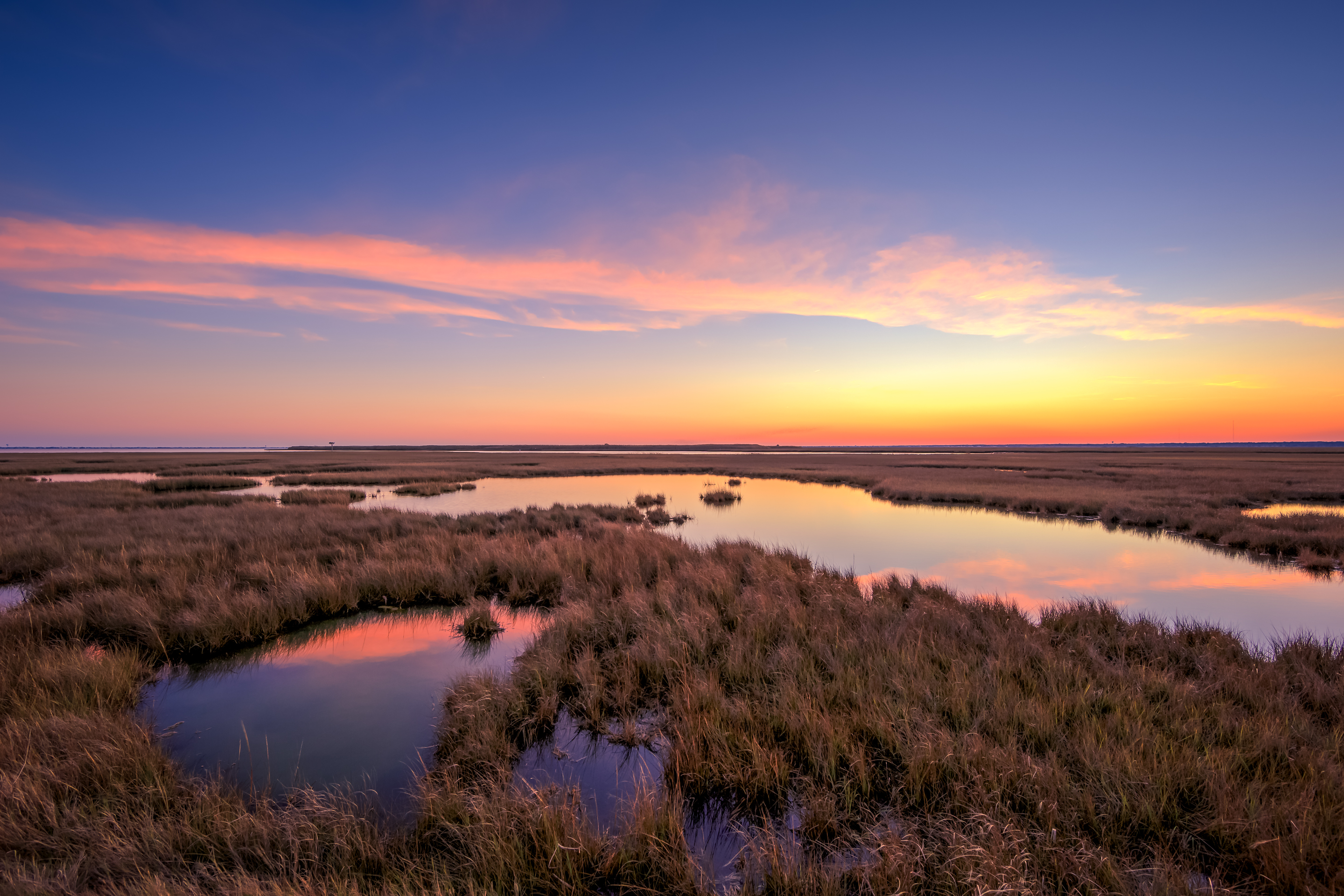 Salt marsh sunset photo in late fall.