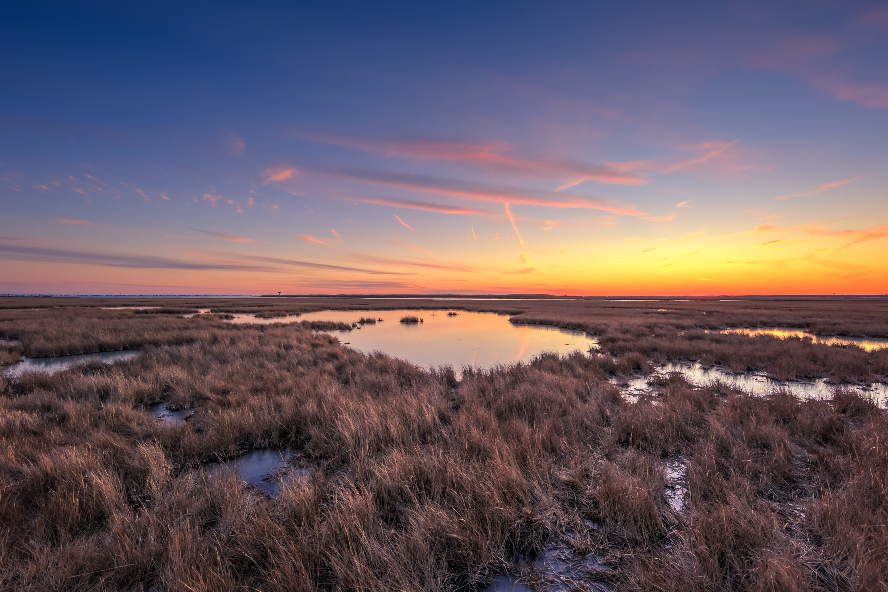 Pastel winter sunset over dormant salt marsh.