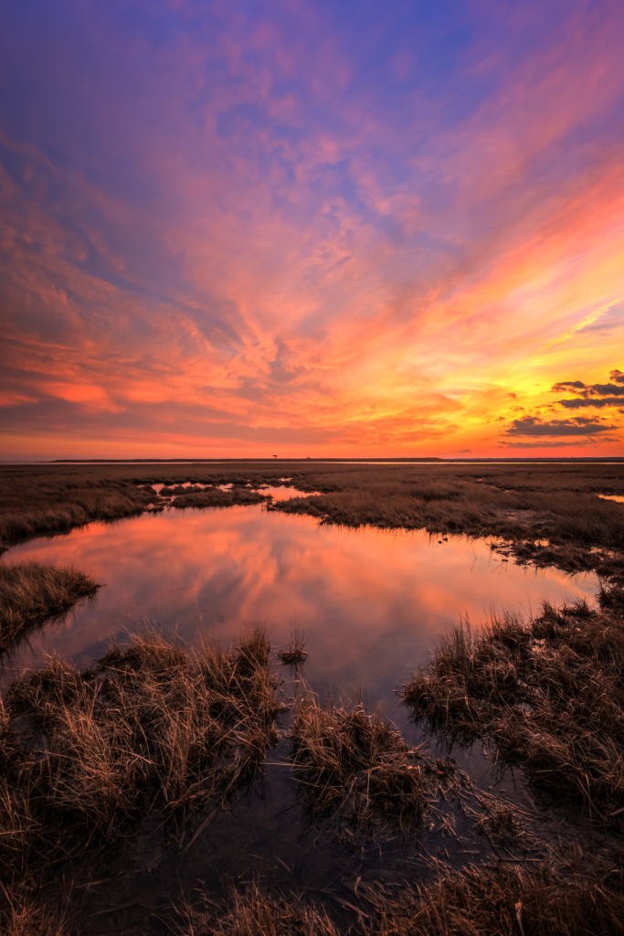 Fiery sunset over winter salt marsh.