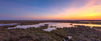 Pastel sunset photo of salt marsh, sedge, and tide pools.