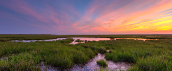 Pastel color sunset photo over green salt marsh and tide pools.