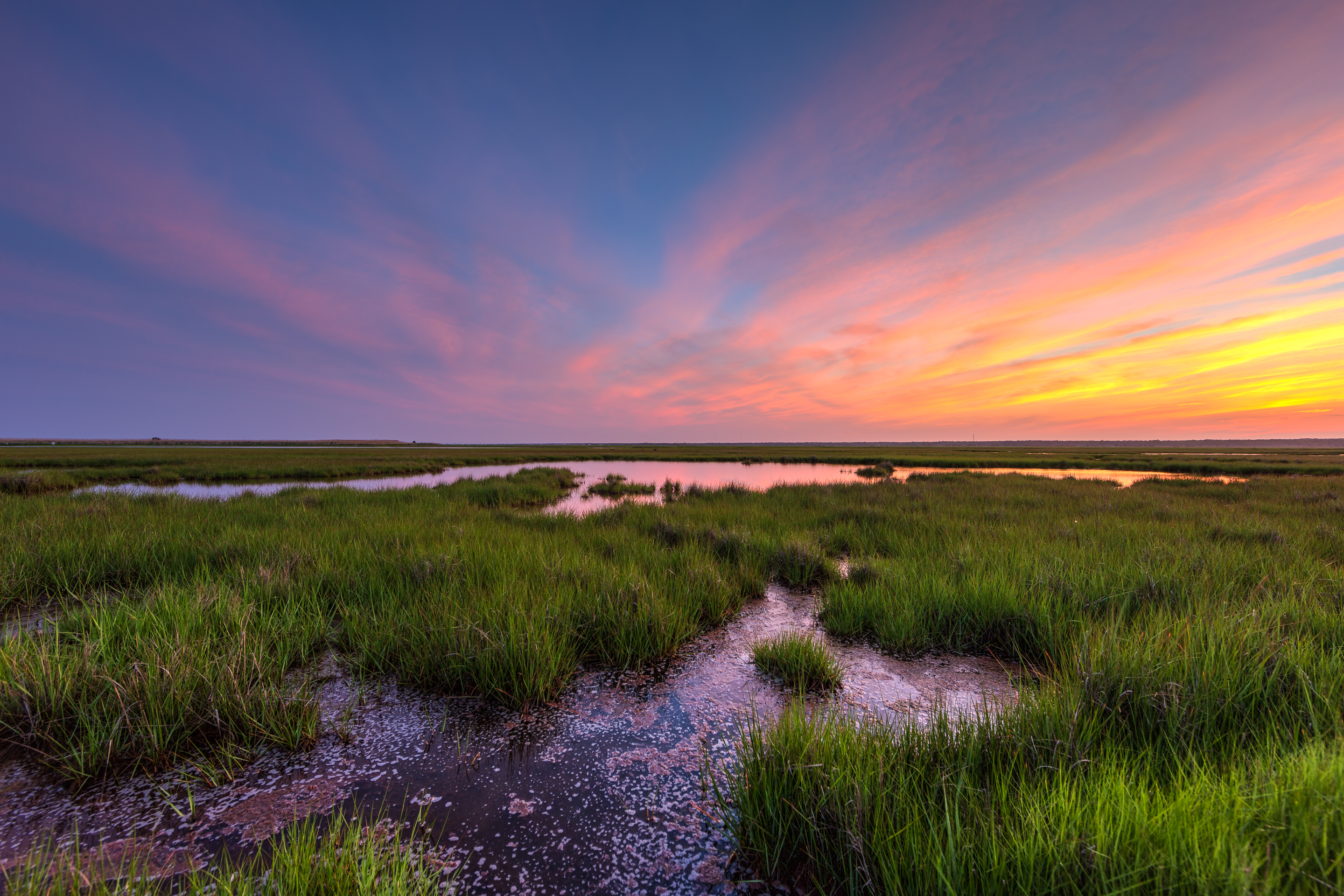 Pastel color sunset photo over green salt marsh and tide pools.