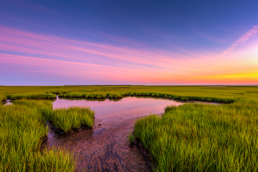 Wide angle HDR sunset photo over marsh grass and reflected in water.