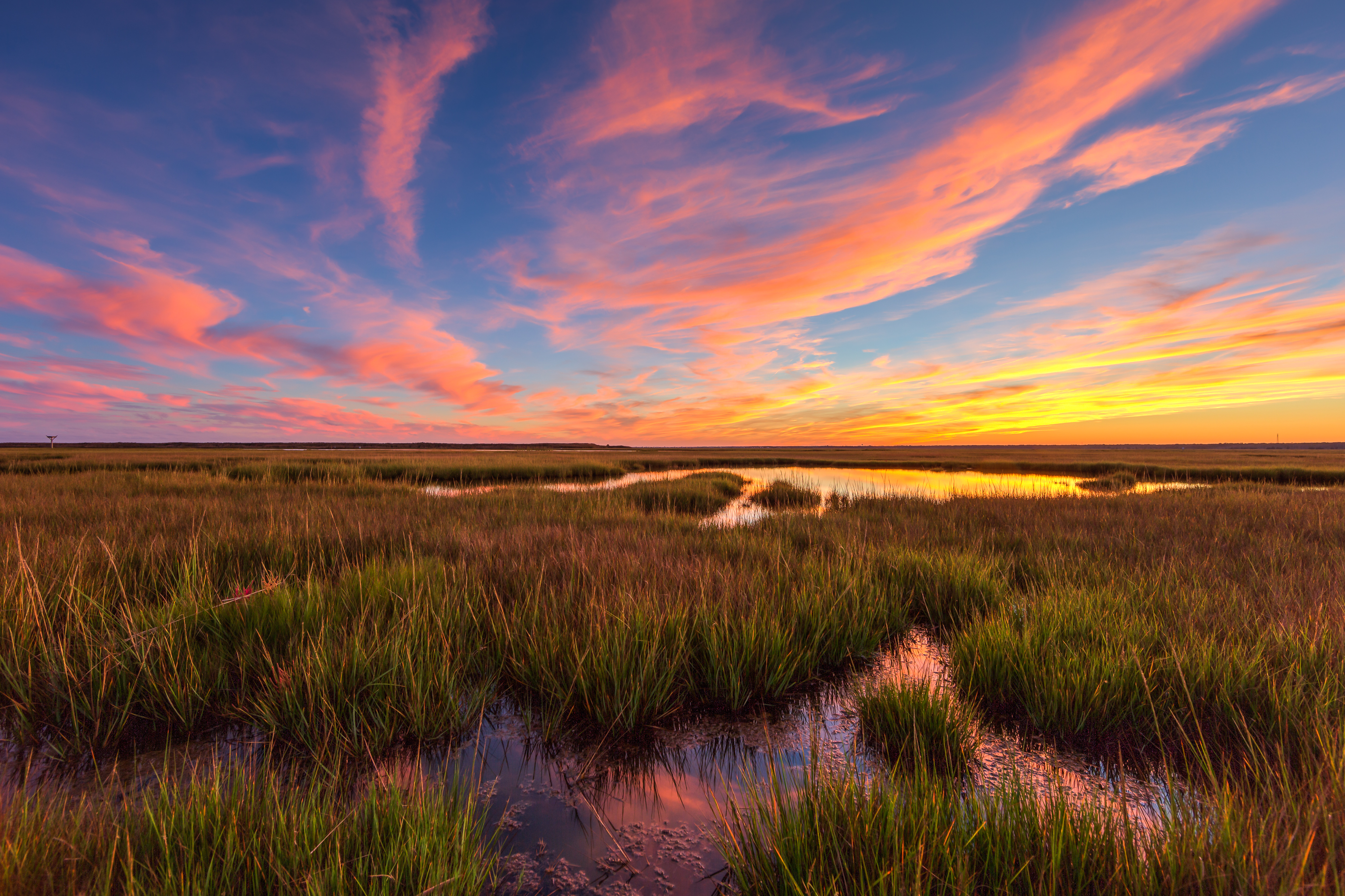 Wide angle pastel sunset photo over salt marsh.