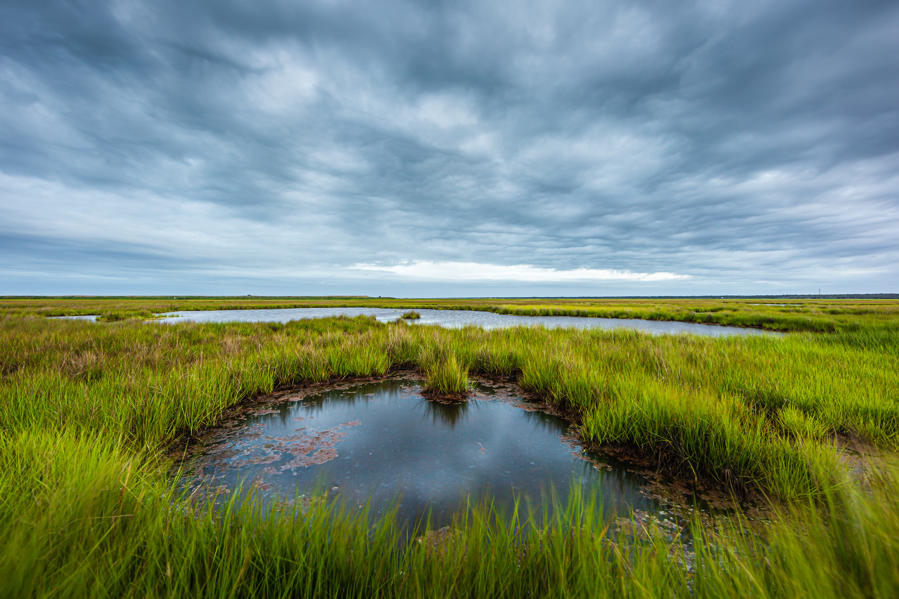 14mm wide angle landscape photo of wind swept salt marsh under cloudy gray skies.
