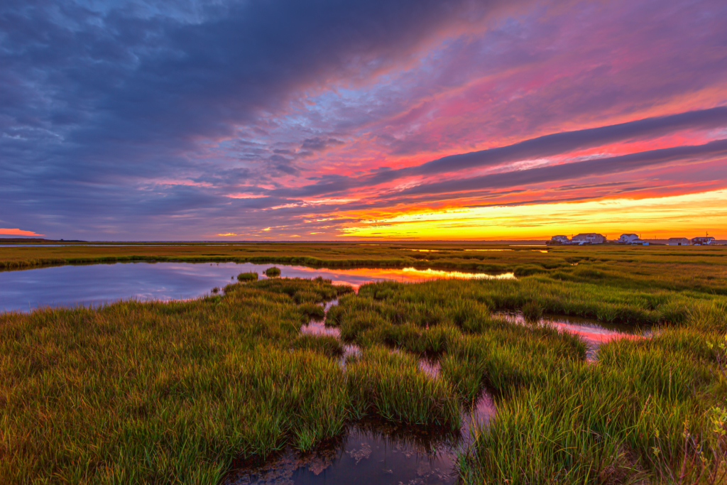 14mm wide angle HDR sunset photo made over late summer salt marsh with a five distant homes in the background.