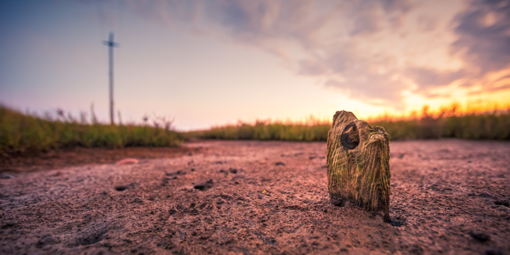 14mm wide angle photo of weathered wood set upon muddy salt marsh at sunset. An out of focus telephone pole appears as a cross in the background. 