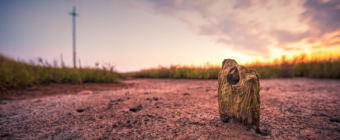 14mm wide angle photo of weathered wood set upon muddy salt marsh at sunset. An out of focus telephone pole appears as a cross in the background.