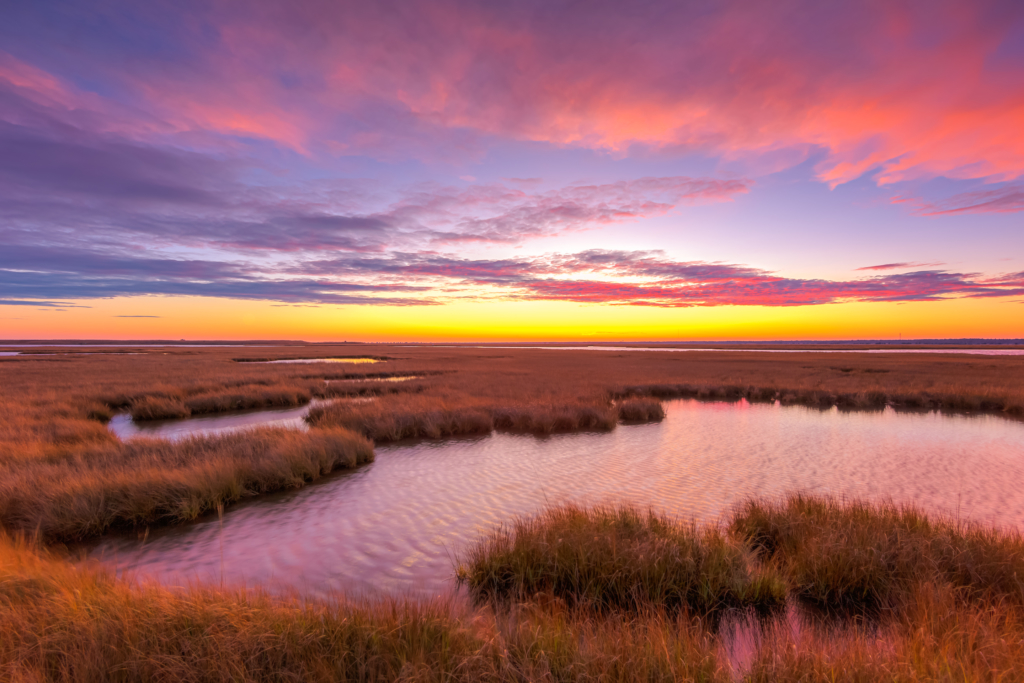 14mm wide angle sunset photo made of pink pastel clouds over brown wind swept salt marsh grasses and rippling water features.