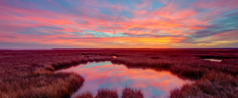 14mm wide angle sunset photo of pastel colored clouds reflected over Cedar Run Dock Road salt marsh at sundown.