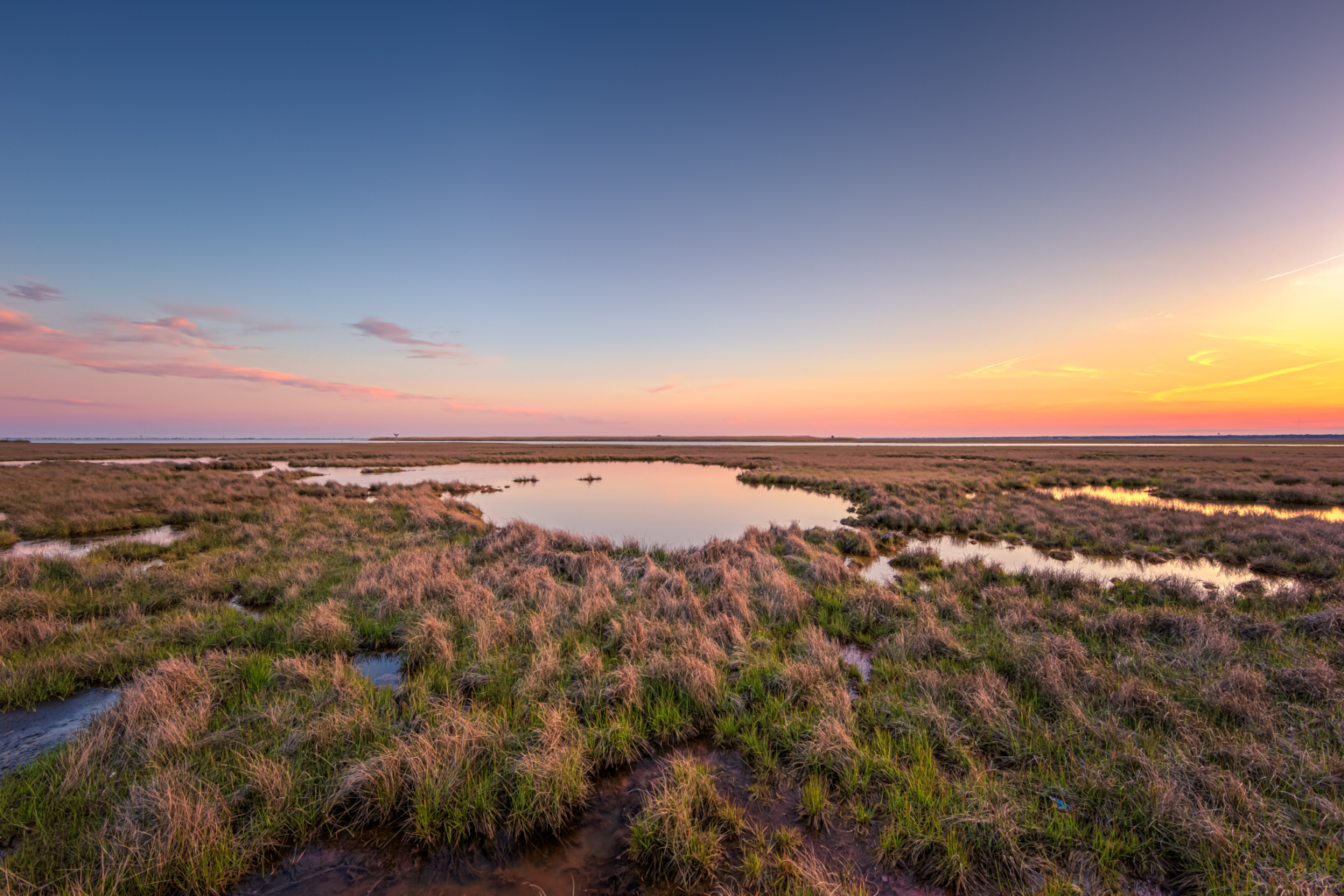 Out of Exile Greg Molyneux Photography