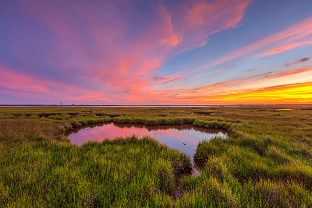 14mm wide angle sunset photo capturing stunning pastel colored cotton candy clouds draped over a bright green salt marsh.
