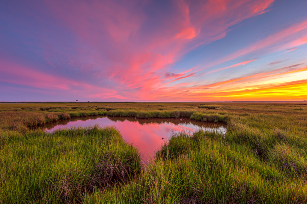 14mm wide angle sunset photograph of colorful pastel clouds overtop green salt marsh and reflected in the tide pool. 