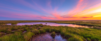 14mm wide angle sunset photo at Cedar Run Dock Road salt marsh. Pinks, yellows, oranges, and blues color the sky over green marsh grasses.