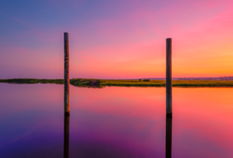 14mm square format photo of a potent pastel sunset reflecting over a glassy Cedar Run creek. Two vertical pilings mark the mid ground.