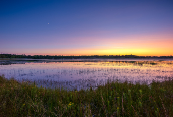 14mm wide angle landscape photo made at blue hour. Clear evening blue skies with a subtle pastel horizon reflect over the still water of Stafford Forge Wildlife Management Area.