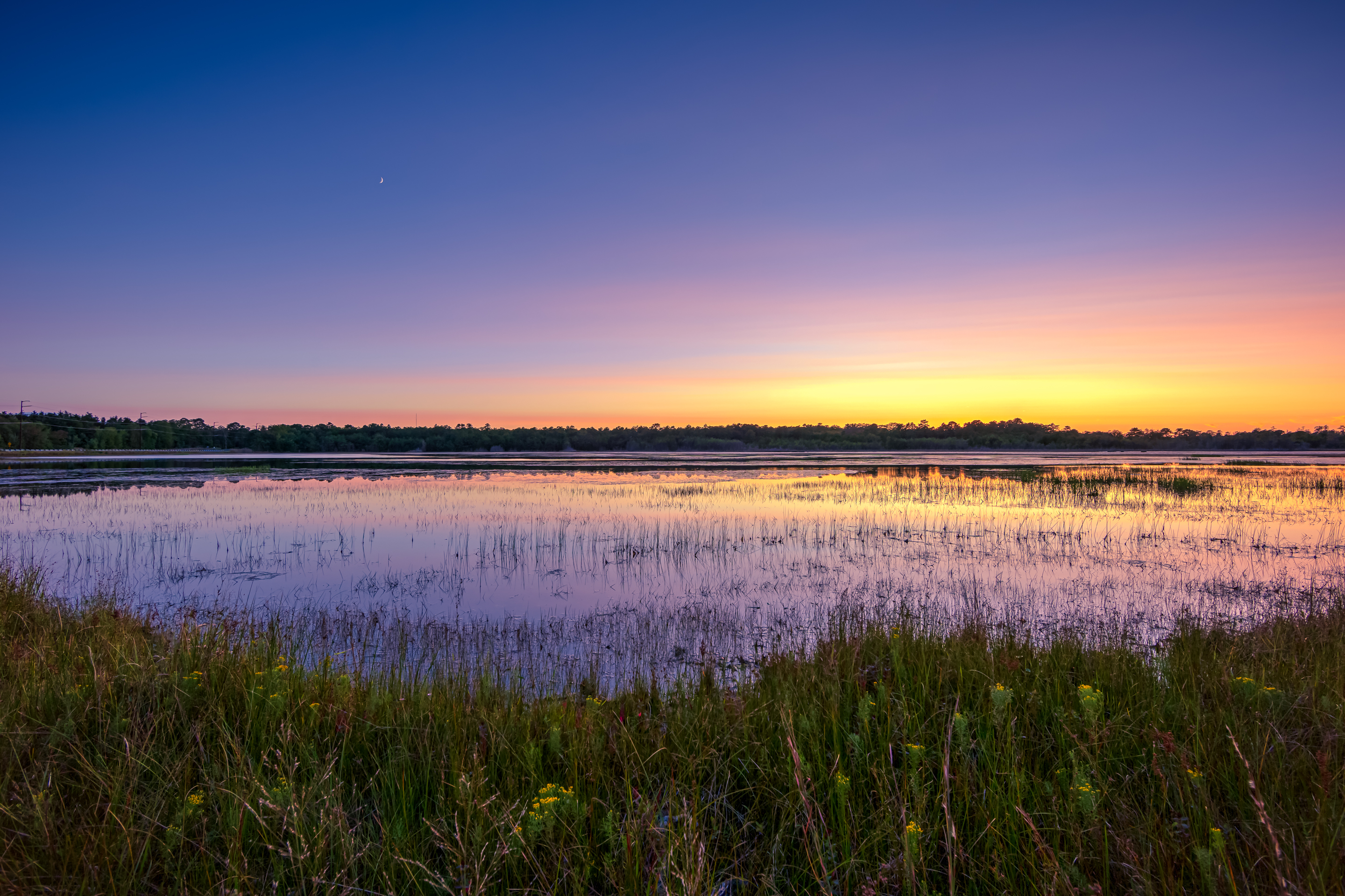14mm wide angle landscape photo made at blue hour. Clear evening blue skies with a subtle pastel horizon reflect over the still water of Stafford Forge Wildlife Management Area.