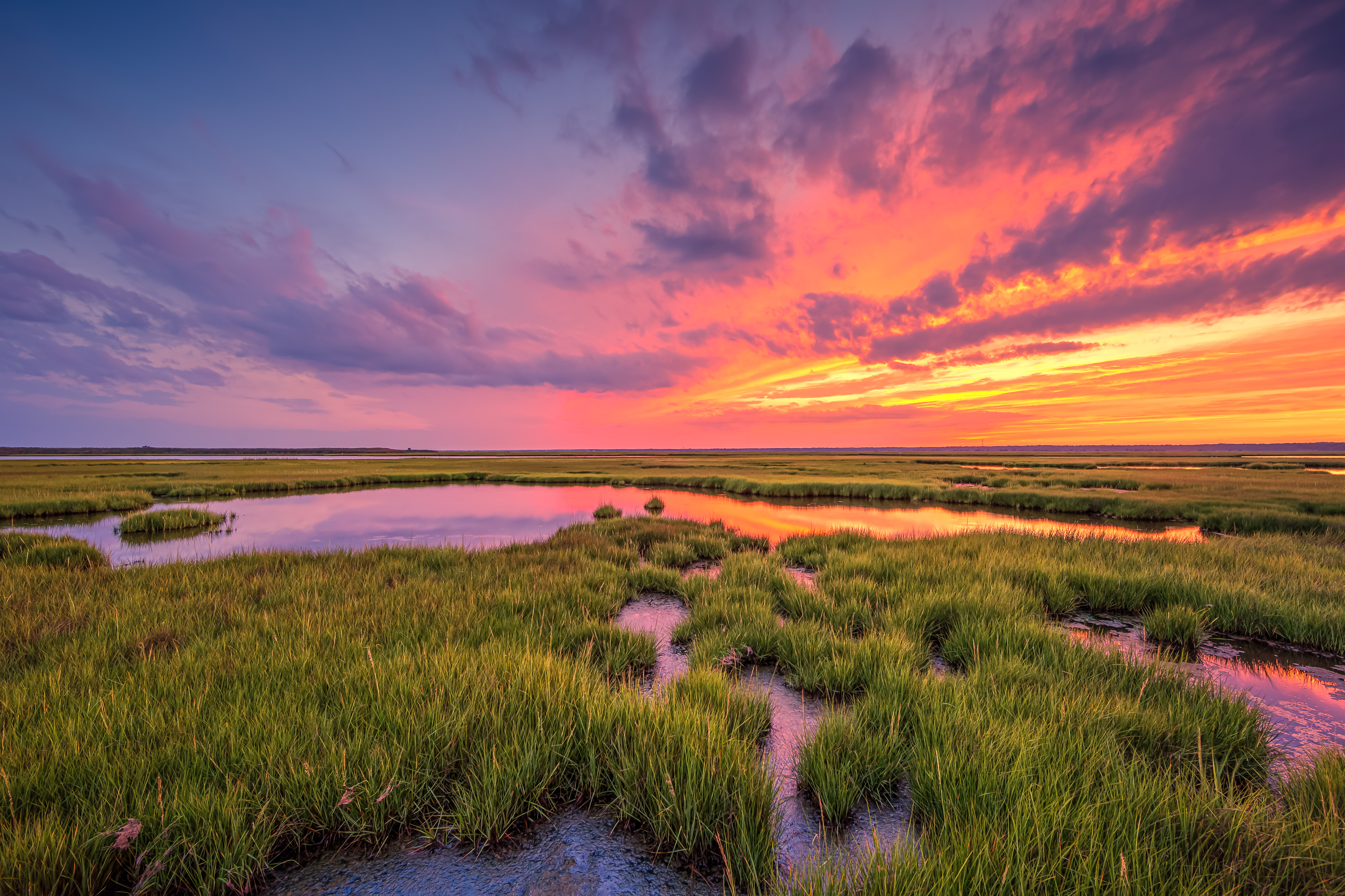 14mm wide angle photograph of a full sky late summer sunset set up smoldering with intense color over the still green salt marsh.