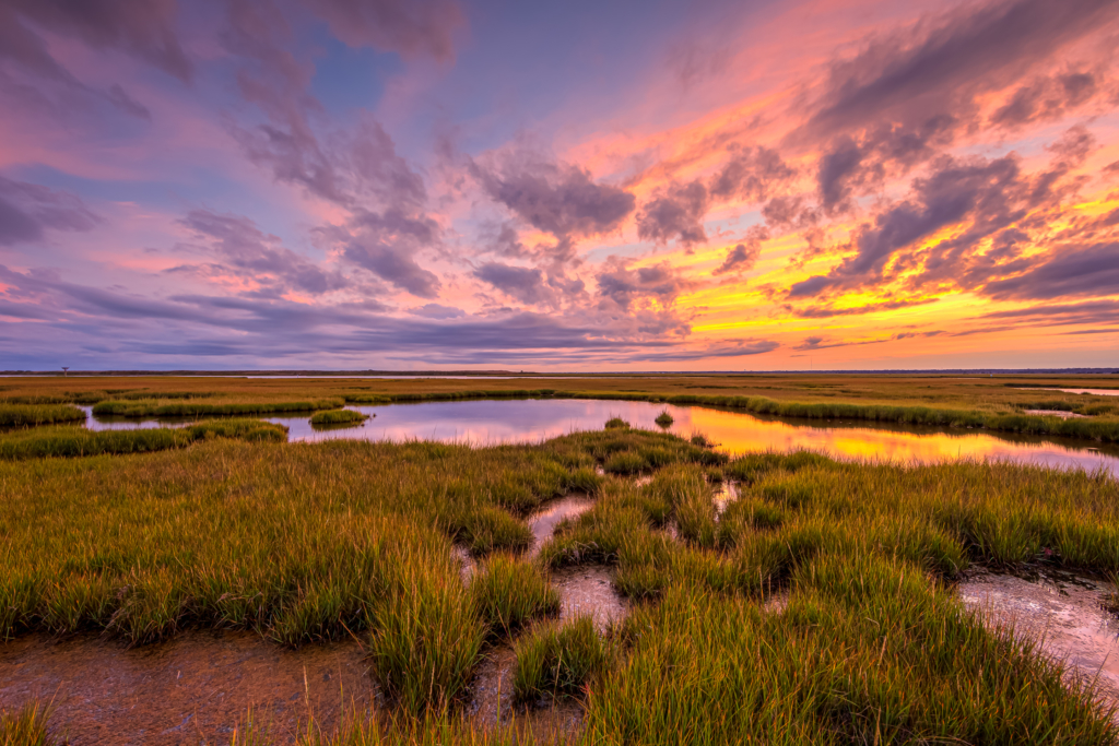 14mm wide angle photo made at sunset over the Cedar Run Dock Road salt marsh. Multilayered clouds fill the sky, backlit by pastel colored clouds as the autumn marsh loses its green color.