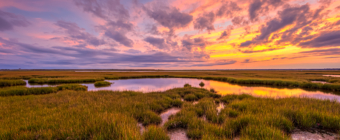 14mm wide angle photo made at sunset over the Cedar Run Dock Road salt marsh. Multilayered clouds fill the sky, backlit by pastel colored clouds as the autumn marsh loses its green color.