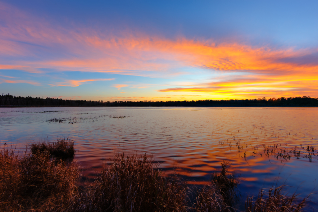 14mm wide angle sunset photograph made at Stafford Forge Wildlife Management Area. Intensely vibrant pastel hues color an array of clouds pulled across the sky reflecting atop the undulating pond water.