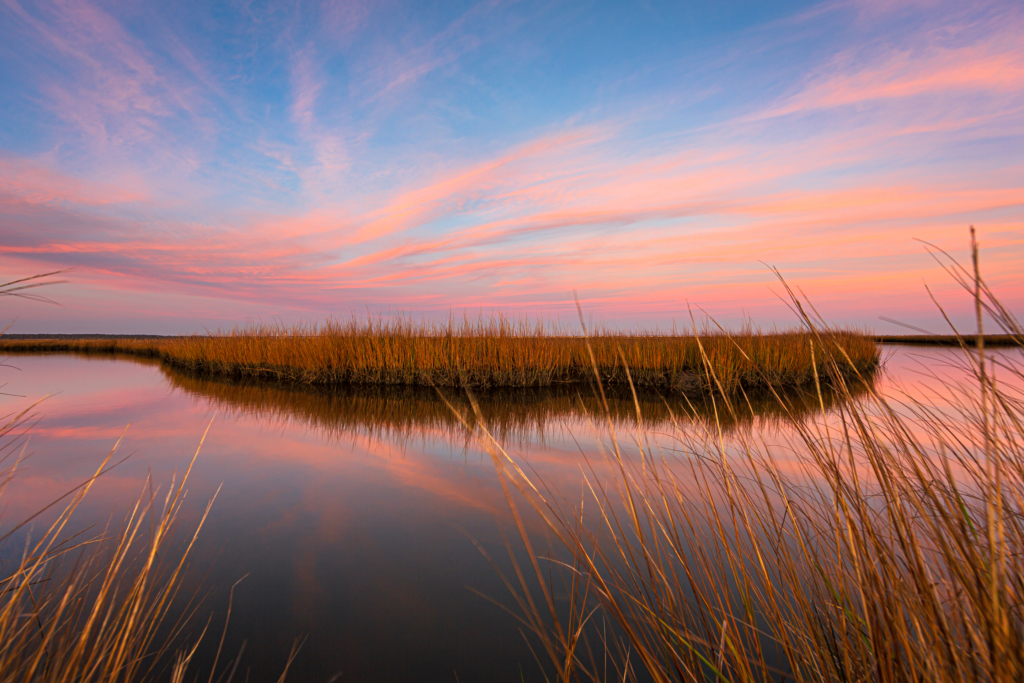 14mm wide angle winter sunset photograph made at the Cedar Run Dock Road salt marsh. A gossamer of pastel clouds stretch across the sky, reflecting upon the still surface of the water. A window of brown marsh grass invites the viewer into the scene.