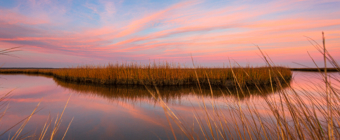 14mm wide angle winter sunset photograph made at the Cedar Run Dock Road salt marsh. A gossamer of pastel clouds stretch across the sky, reflecting upon the still surface of the water. A window of brown marsh grass invites the viewer into the scene.