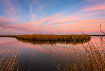 14mm wide angle winter sunset photograph made at the Cedar Run Dock Road salt marsh. A gossamer of pastel clouds stretch across the sky, reflecting upon the still surface of the water. A window of brown marsh grass invites the viewer into the scene.