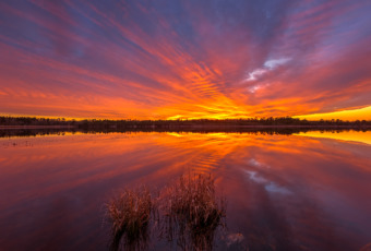 14mm wide angle photograph of a fiery sunset burning intense reds, yellows, and orange across the whole of the sky. All reflected by the calm mirror reflection of the Stafford Forge lake.