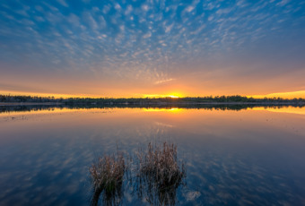 14mm wide angle photo of a golden hour mackerel sky reflected over still waters of Stafford Forge Wildlife Management Area.