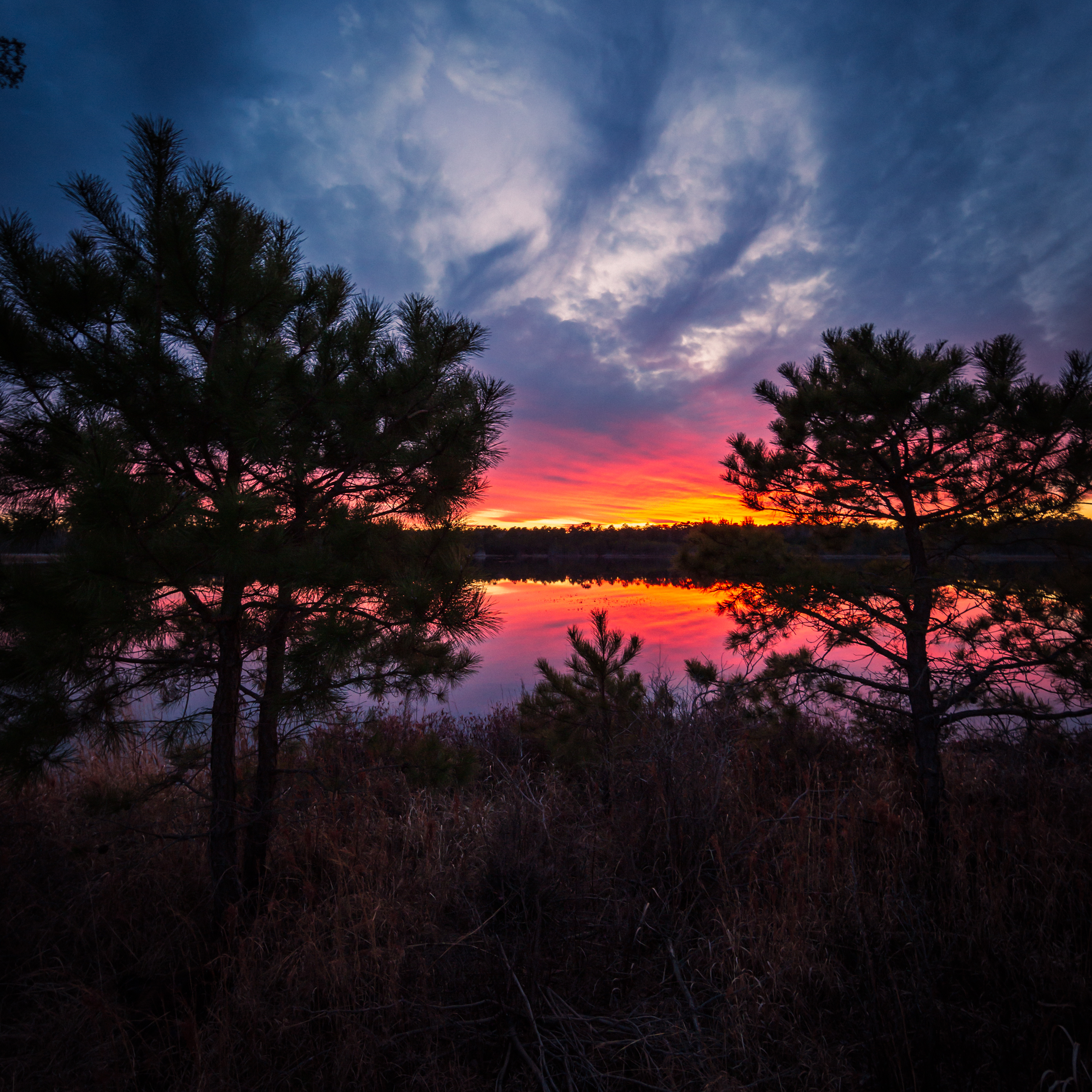 14mm square format photo depicts a fiery sunset over the lake framed between the contrasted silhouettes of two small pine trees.