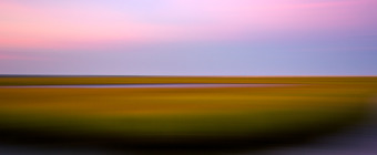 35mm panning shot photo of a New Jersey salt marsh at sunset. Late summer green marsh gives way to orange and yellow hues in a landscape picture blurred by motion.
