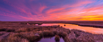 14mm wide angle sunset photo made over a browning late fall salt marsh. Cotton candy pastel clouds stretch across the sky in all directions, mirrored in tide pool reflections.