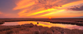 14mm portrait orientation photograph of a fiery late November sunset over the Cedar Run Dock Road salt marsh. Yellow, orange, and red hues paint the clouds, marsh grass, and still waters, marking a sublime tableau.