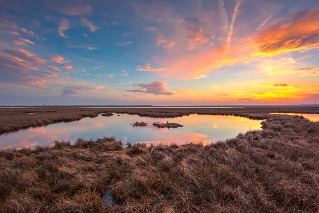 14mm sunset photograph working over a salt marsh in a hue of blues, pinks, oranges and yellows. 